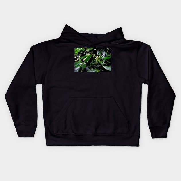 Holly Leaves Kids Hoodie by Colin-Bentham